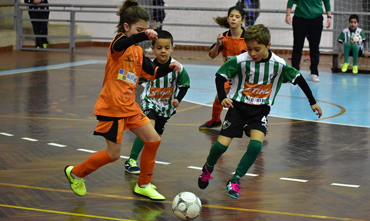 Pequenada em festa com o FUTSalegre